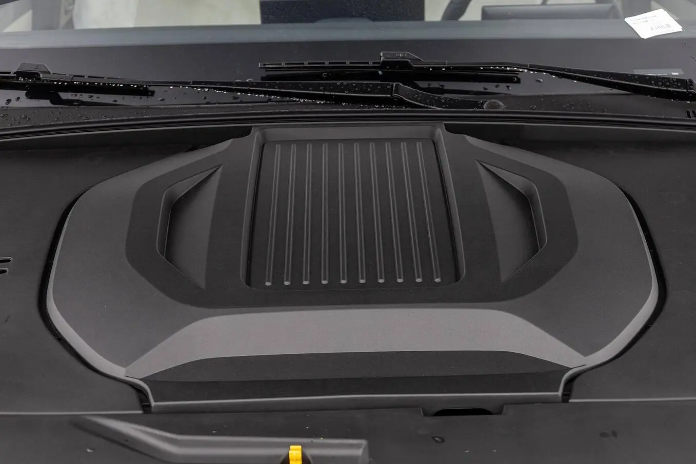 Qin Plus EV