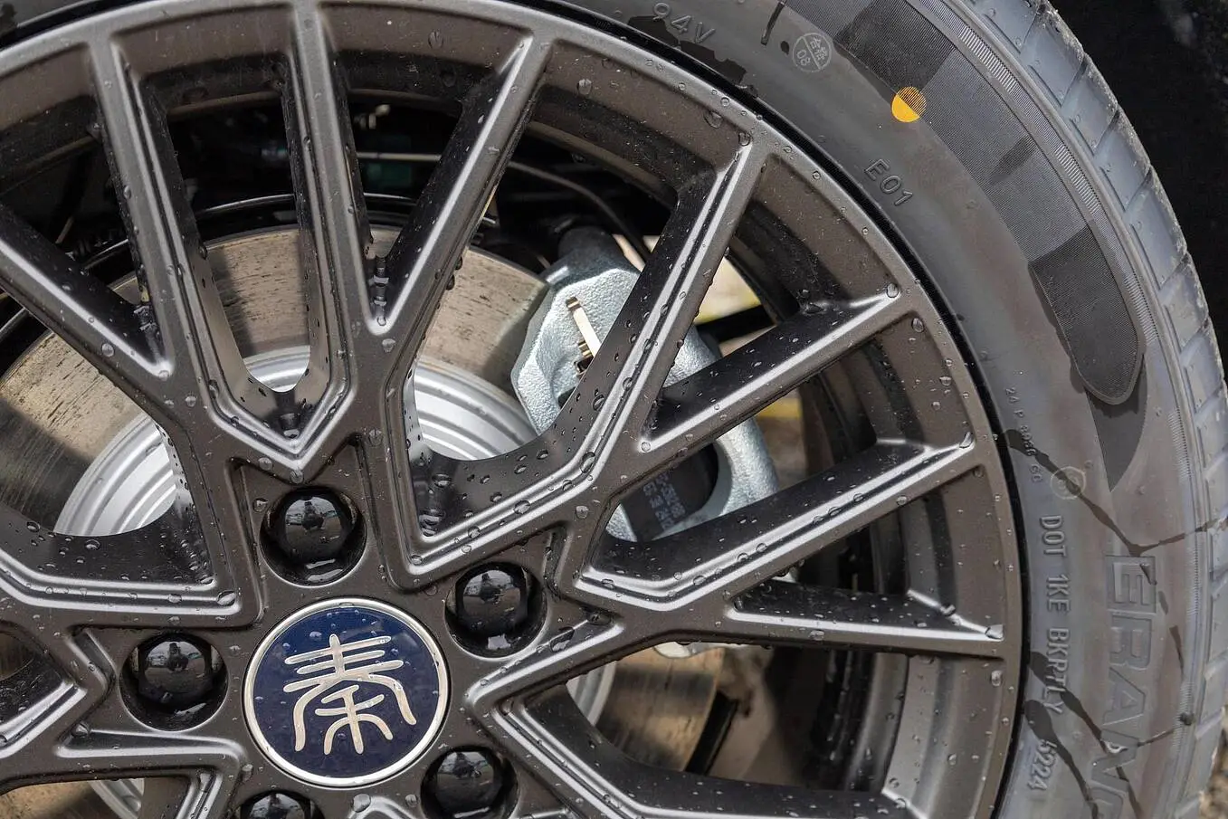  Qin Plus EV