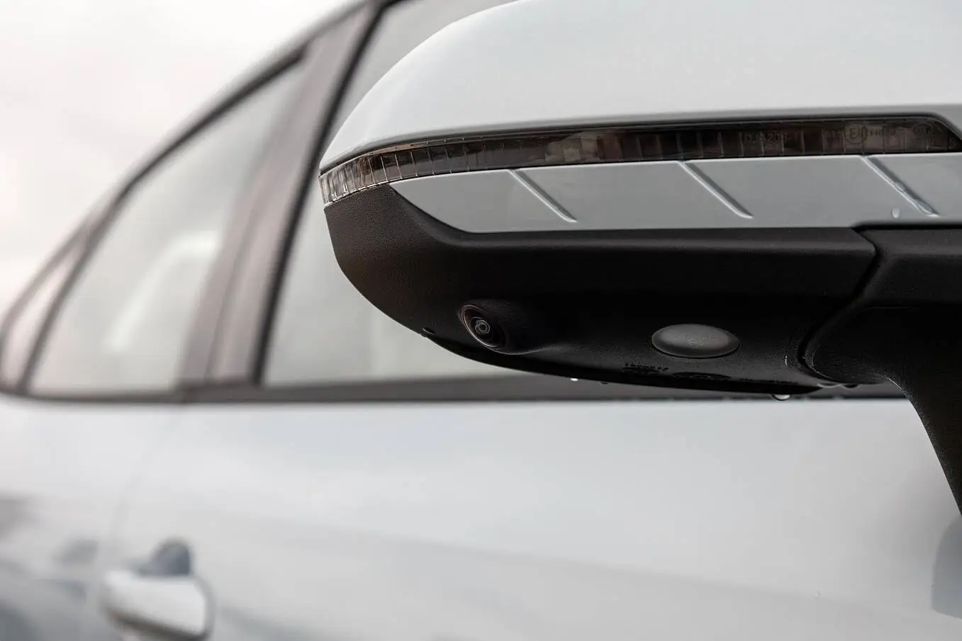  Qin Plus EV