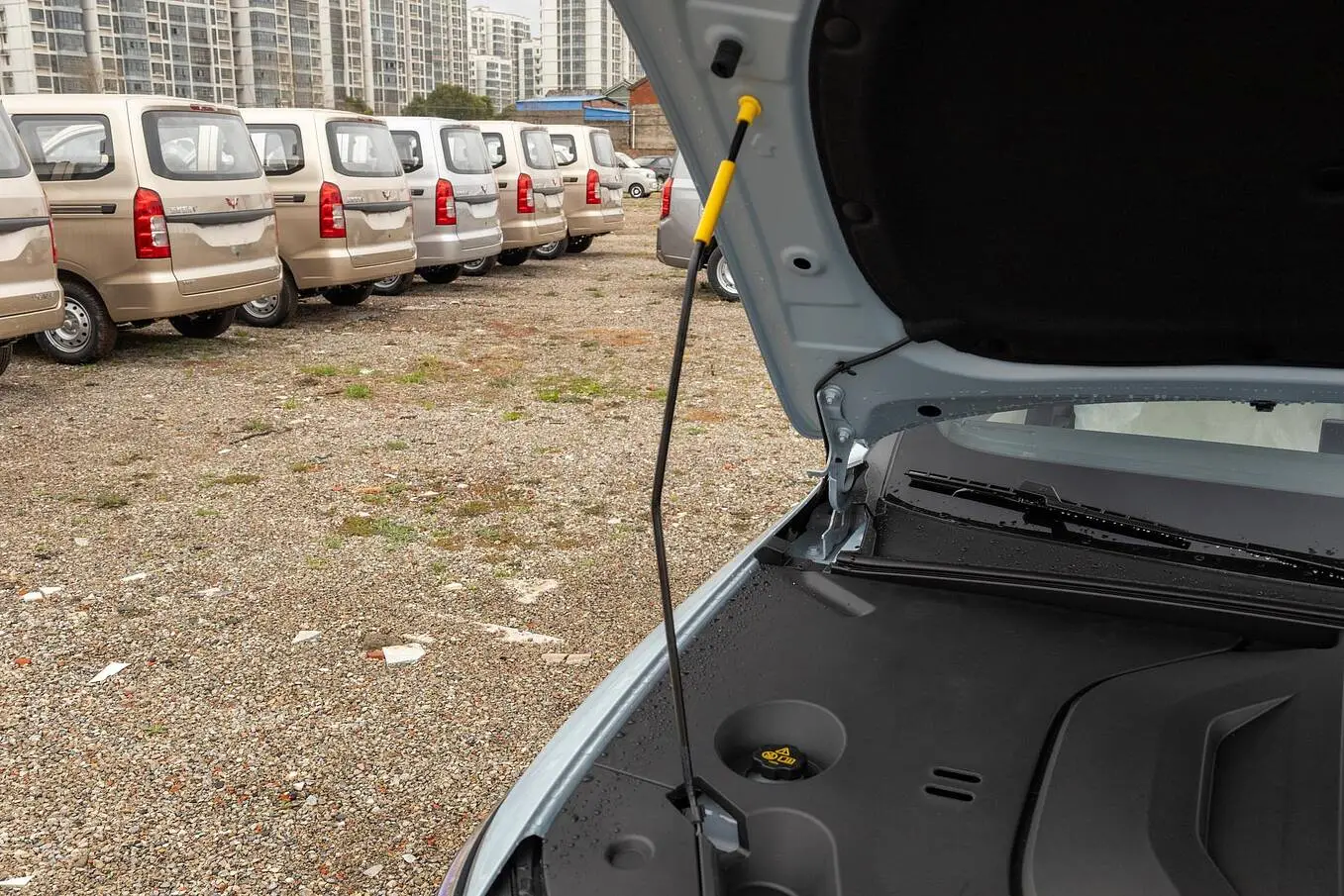  Qin Plus EV