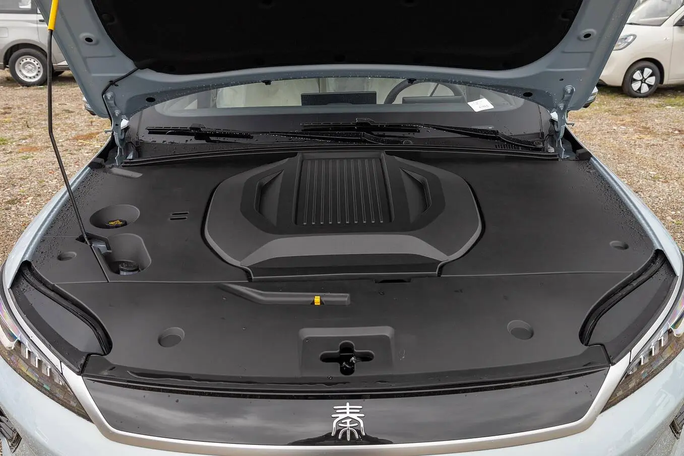  Qin Plus EV