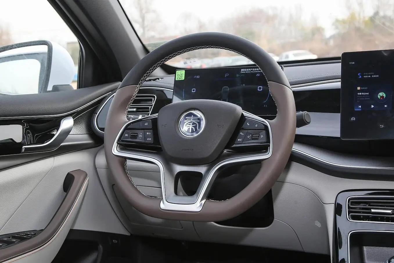  Qin Plus EV