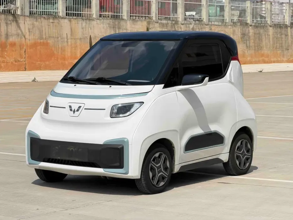  Nano EV