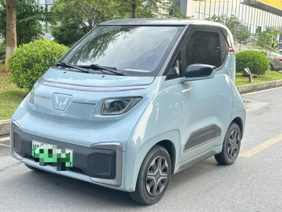  Nano EV